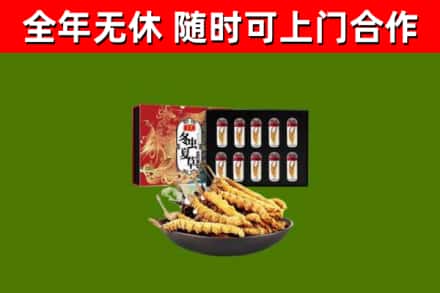 周口回收冬虫夏草价格